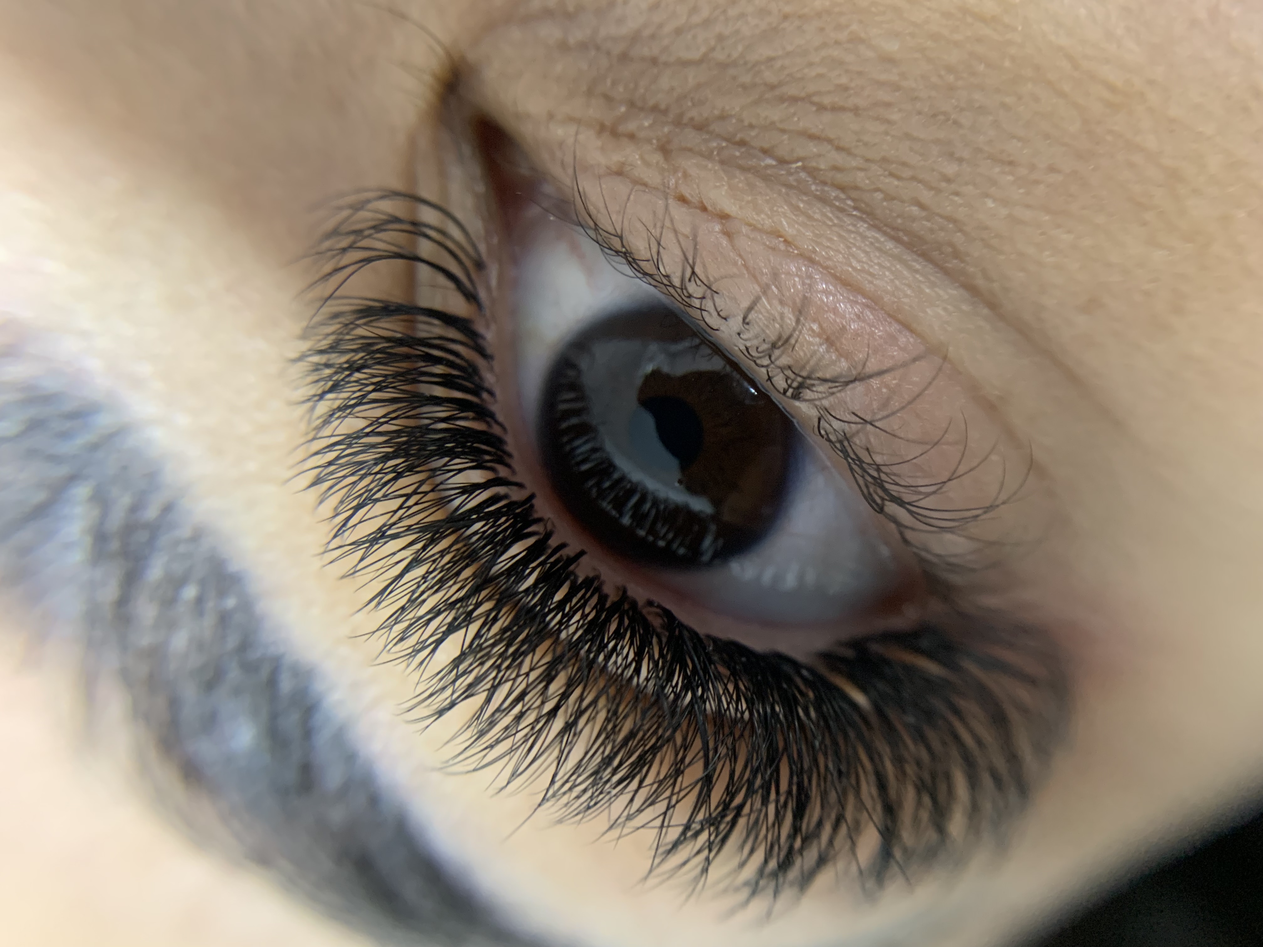 Imagem do serviço de Aplicação volume 5D